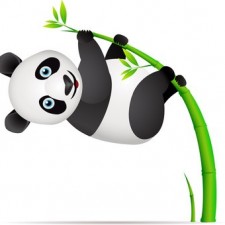 Panda-Update: Qualität der Webseite beeinflusst Google-Ranking