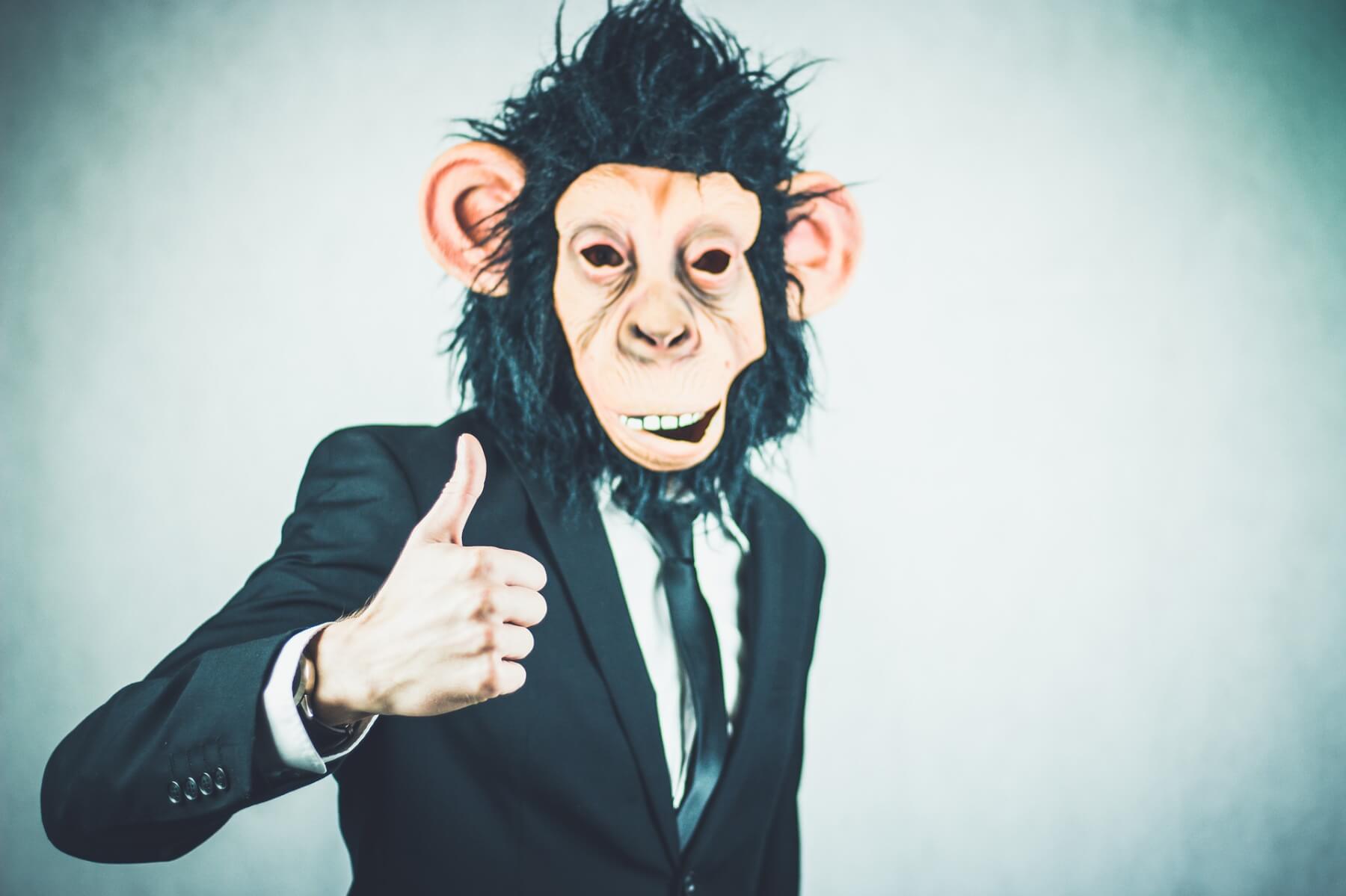 Über Affen im Büro: So erkennst du opportune Karrieristen
