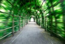 Tunnelblick: Ein langer grüner Tunnel.