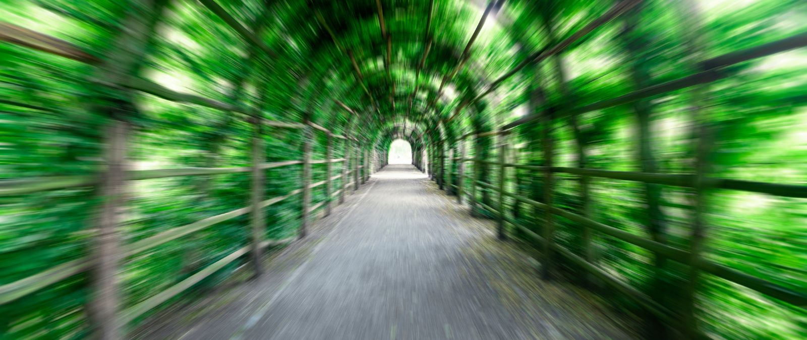 Tunnelblick: Ein langer grüner Tunnel.
