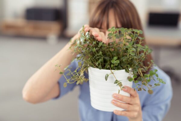 Ängste: Eine Mitarbeiterin im Büro versteckt sich hinter einer Pflanze.