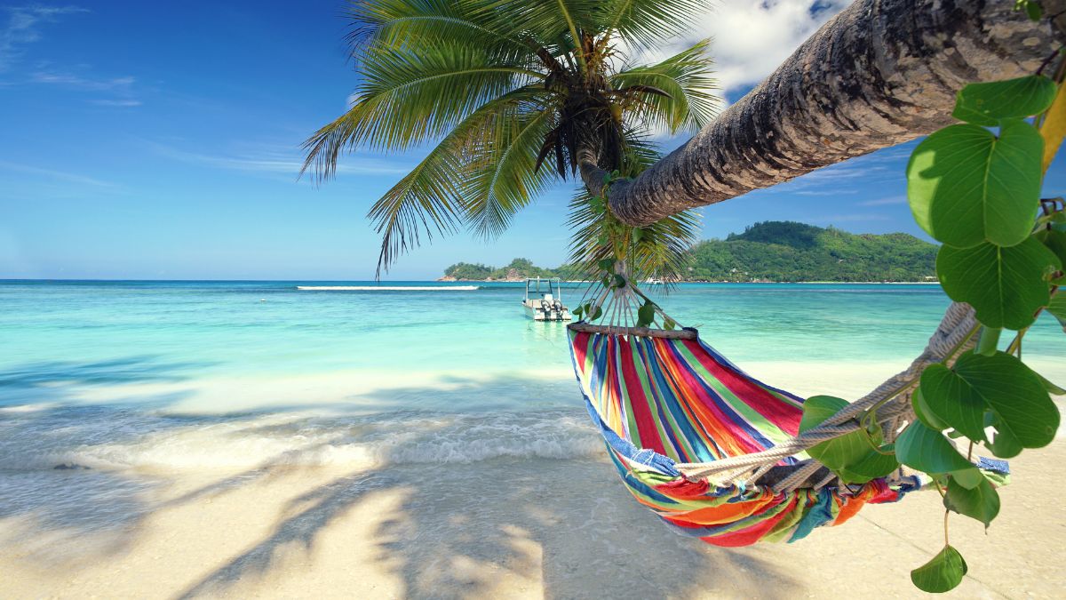 Urlaub: Eine Hängematte hängt unter einer Palme am Strand.